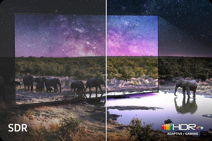 Слоны ходят по широкому полю. Сцена после применения технологии HDR 10+ ADAPTIVE/GAMING гораздо ярче и четче, чем в версии SDR.