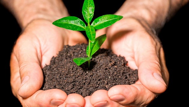 Максимальная эффективность при меньших затратах