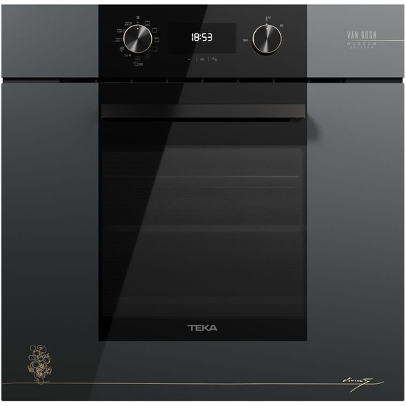 Духовой шкаф электрический Teka HLB 84 P VGogh