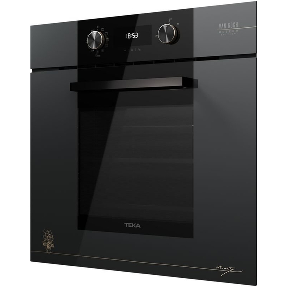 Духовой шкаф электрический Teka HLB 84 P VGogh