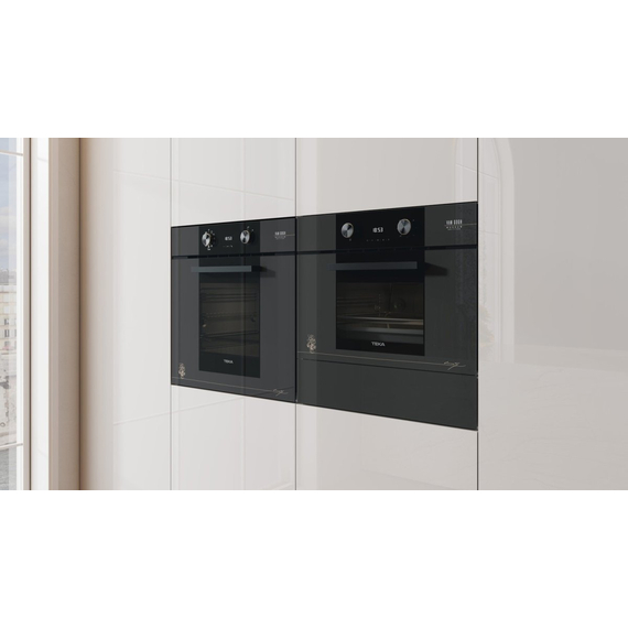 Духовой шкаф электрический Teka HLB 84 P VGogh
